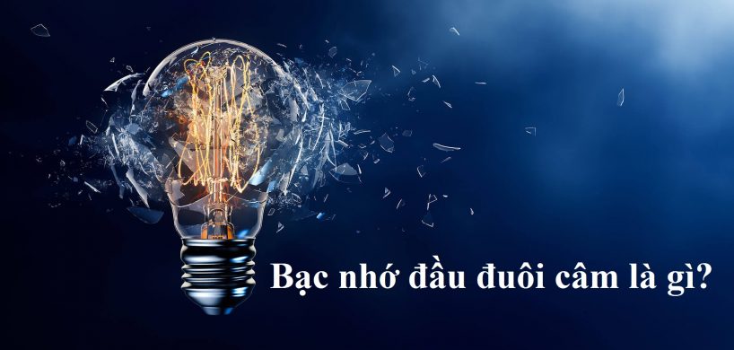 Bạc nhớ đầu đuôi câm là gì?